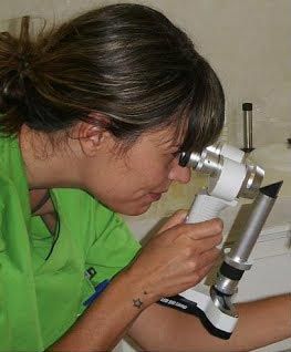 Clínica Veterinaria Finestrat veterinaria realizando diagnóstico