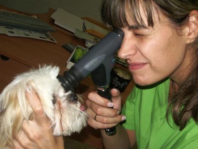 Clínica Veterinaria Finestrat veterinaria revisando ojos de perro