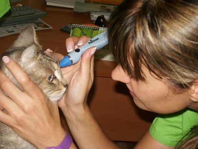 Clínica Veterinaria Finestrat veterinaria revisando ojos de mascota