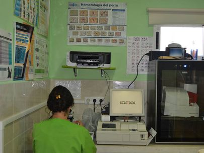 Clínica Veterinaria Finestrat veterinaria realizando prueba de diagnóstico