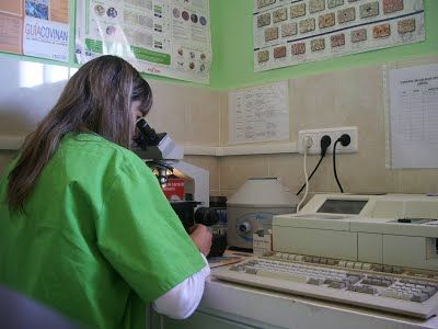 Clínica Veterinaria Finestrat veterinaria con microscopio
